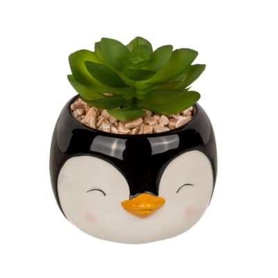 Декоративна саксийка с декоративно секулентно растение с лице на пингвин.