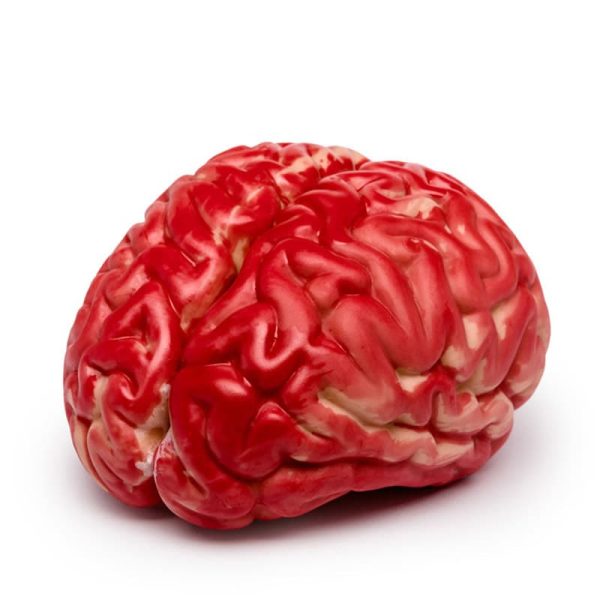 Декоративен червен мозък.