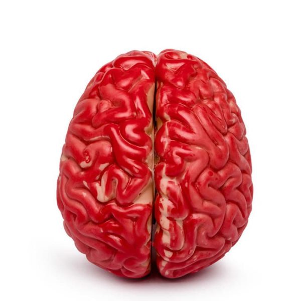 Декоративен червен мозък.