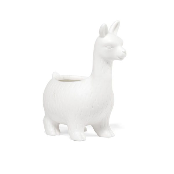 саксия лама