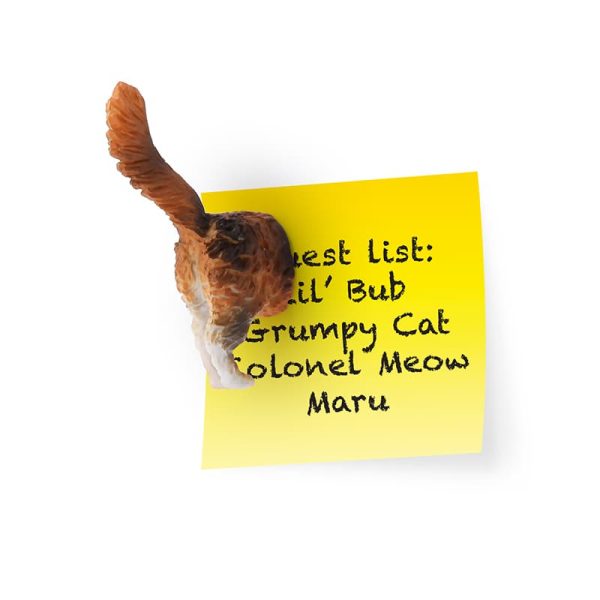 Магнит за хладилник с котешка опашка.