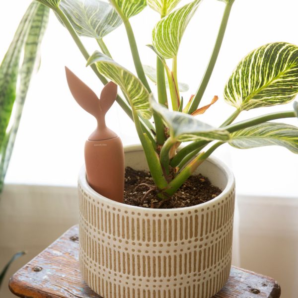 Теракотено морковче с дупчици за напояване на растение в саксия