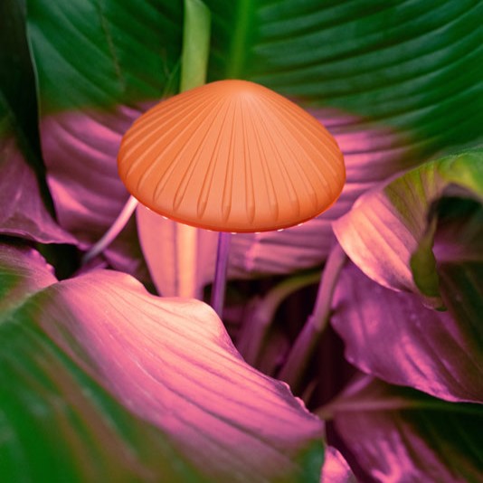 Лампа стимулираща растежа на растенията Гъбка